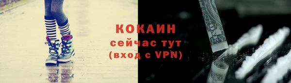 мдпв Горнозаводск