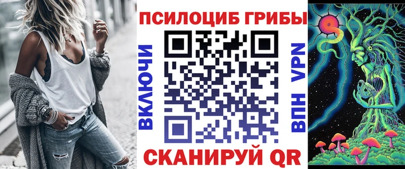 Псилоцибиновые грибы мицелий  как найти наркотики  Тарко-Сале 